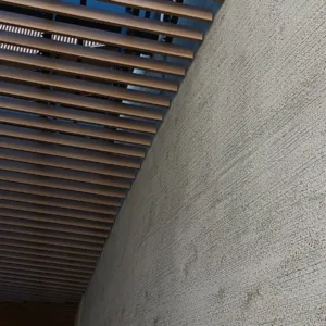 Rareplaster (109)_Web