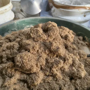 Rareplaster (53)_Web