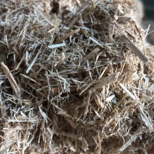 Rareplaster (54)_Web