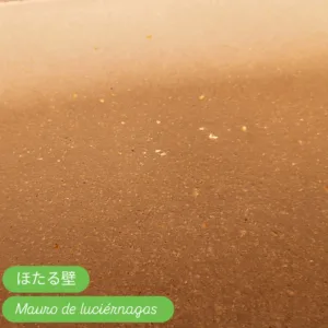 Rareplaster (74)_Web