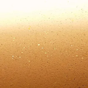 Rareplaster (77)_Web
