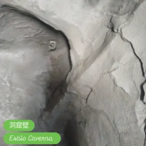 Rareplaster (82)_Web