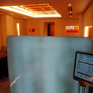 Rareplaster (85)_Web